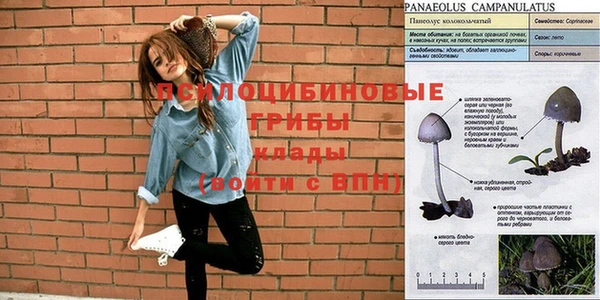 прущие крисы Балабаново