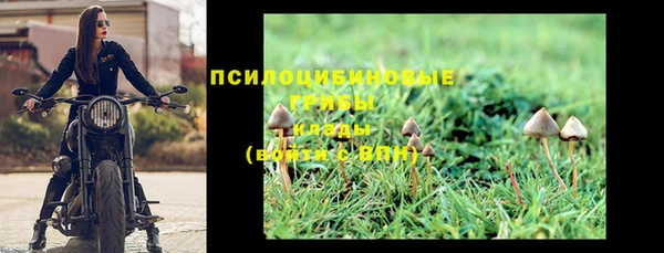 apvp Балахна