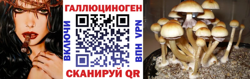 Галлюциногенные грибы GOLDEN TEACHER  маркетплейс телеграм  Кропоткин  цены  